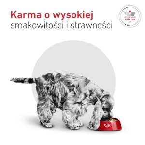 ROYAL CANIN VHN Glycobalance Small Dogs karma sucha, dla psów dorosłych, ras małych, regulacja poziomu glukozy