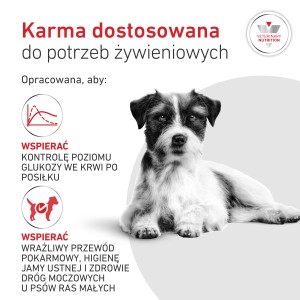 ROYAL CANIN VHN Glycobalance Small Dogs karma sucha, dla psów dorosłych, ras małych, regulacja poziomu glukozy