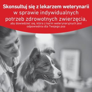 ROYAL CANIN VHN Glycobalance Loaf karma mokra - pasztet, dla psów dorosłych, regulacja poziomu glukozy
