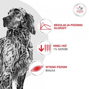 ROYAL CANIN VHN Glycobalance Loaf karma mokra - pasztet, dla psów dorosłych, regulacja poziomu glukozy